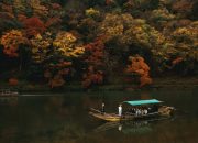 5 Fakta Menarik Tentang Pohon Katsura, Si Penghasil Aroma Manis