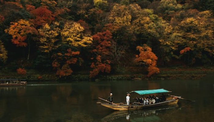 5 Fakta Menarik Tentang Pohon Katsura, Si Penghasil Aroma Manis