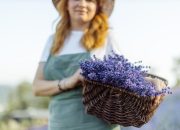 5 Tanaman Alami yang Efektif Mengusir Lebah dan Tawon