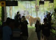 Puncak Libur Panjang di KBS Bakal Ada Pertunjukan Barongsai