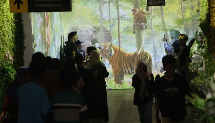 Puncak Libur Panjang di KBS Bakal Ada Pertunjukan Barongsai