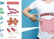 Peran Mikrobiota Usus dalam Kesehatan, Menjaga Keseimbangan Bakteri Baik