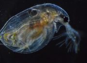 4 Cara Mencegah Kutu Air Saat Musim Hujan, Jaga Kebersihan!