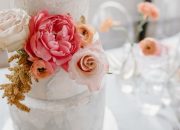 4 Tanaman Hias yang Bisa Diperbanyak dengan Stek Daun