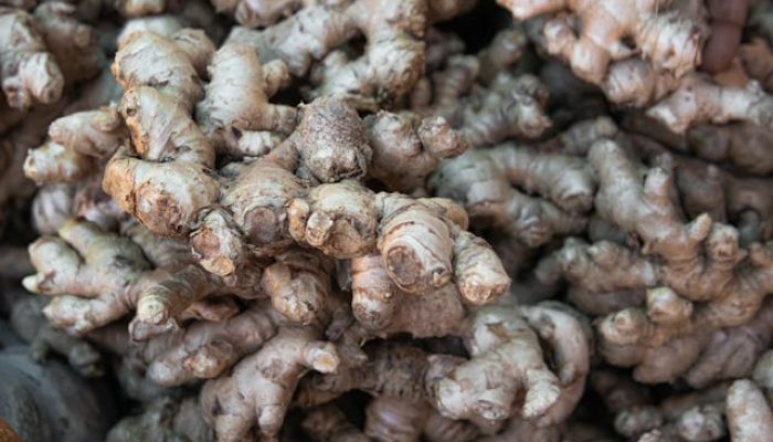 5 Cara Memilih Jahe yang Berkualitas
