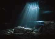 5 Habitat Asli Hiu Dari Laut Dalam hingga Terumbu Karang