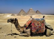 6 Senjata Bersejarah yang Dipakai Militer Mesir Kuno