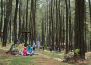 Manfaat Nature Bathing bagi Kesehatan Mental, Terapi Alam untuk Kesejahteraan