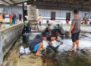 Asyik Pesta Miras, 35 Pemuda “Wisata” ke Liponsos