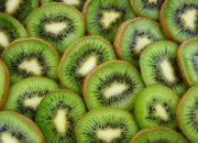 Manfaat Buah Kiwi yang Luar Biasa untuk Kesehatan Anda