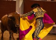 Meski Menuai Kritik dan Kontroversial, Tradisi Matador Tetap Dipertahankan