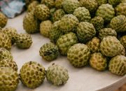 Ini Cara Mengenali Srikaya Sudah Matang dan Siap Dipetik