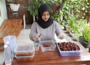 Pentingnya Kurma Saat Berbuka, Manfaat Kesehatan dan Kiat Memilih Kurma Berkualitas