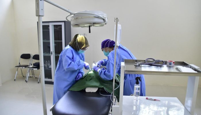 Mudik Tenang, Anabul Aman: Puskeswan Surabaya Buka Penitipan Hewan Khusus Lebaran