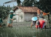 Sapa Nandur Bakal Ngunduh, Hukum Sebab-Akibat dalam Kehidupan