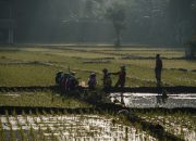 Sak Bejo-bejone Wong Kang Lali, Isih Bejo Wong Kang Eling lan Waspodo, Filosofi Jawa tentang Keberuntungan Sejati