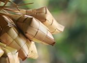 Sejarah Ketupat di Indonesia, Simbol Budaya dan Tradisi Lebaran yang Mendunia