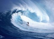 Taklukkan Ombak Jawa Timur, 5 Pantai Terbaik untuk Surfing, dari Pemula Hingga Pro!