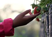Go Green Gak Harus Ribet, 3 Langkah Simpel Jaga Bumi dari Rumah