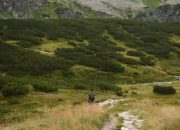 5 Rekomendasi Gunung di Jawa Tengah untuk Tipe Pendaki Petualang