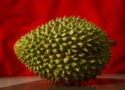 5 Buah Berduri Unik yang Sering Dimakan, Bukan Cuma Durian dan Sirsak!