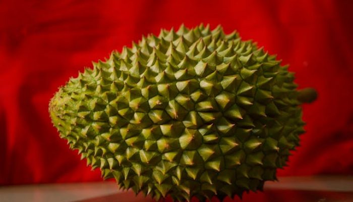 5 Buah Berduri Unik yang Sering Dimakan, Bukan Cuma Durian dan Sirsak!