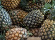 5 Penyebab Lidah Terasa Gatal saat Mengonsumsi Buah Nanas