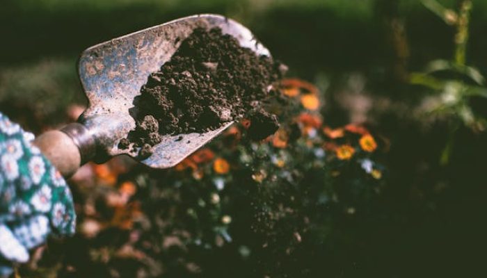 5 Manfaat Berkebun yang Cocok untuk Gaya Hidup Gen Z