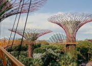 5 Tempat Terbaik untuk Belanja Barang Branded di Singapura