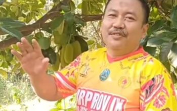 Ketika Ali Mufthi Belajar dari Alam: Politik, Waktu, dan Buah Kesabaran