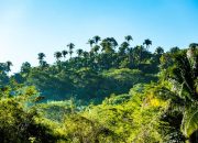 4 Tips Menjaga Diri dari Hewan Buas saat Mendaki Gunung, Jangan Sampai Panik