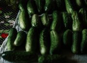 5 Tanaman Buah yang Sudah Bisa Kamu Petik dalam Hitungan 2 Minggu