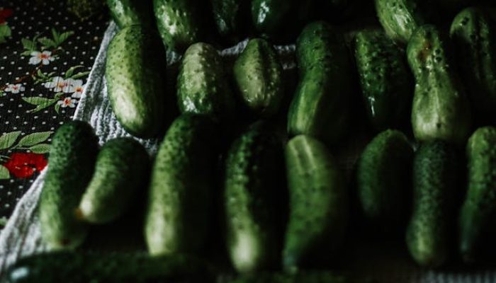 5 Tanaman Buah yang Sudah Bisa Kamu Petik dalam Hitungan 2 Minggu