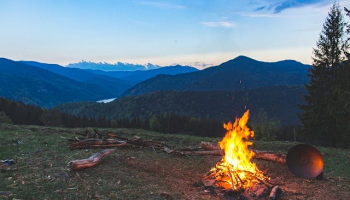 6 Tips Jitu Menjaga Makanan Aman dari Satwa Liar Saat Camping