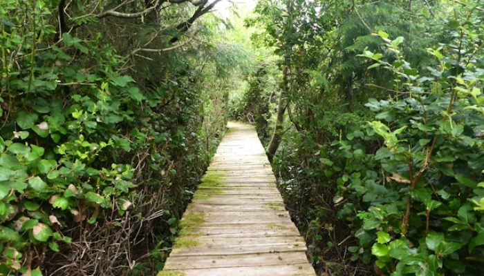 5 Rekomendasi Tempat Self-Care Low Budget yang Mudah Dijumpai