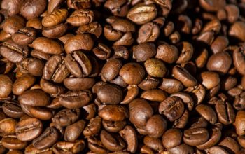 Mengapa Harga Kopi Arabika Lebih Mahal? Ternyata Ini 4 Alasan di Baliknya